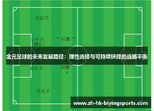 金元足球的未来发展路径:理性选择与可持续抉择的战略平衡 金元足球的未来发展路径:理性选择与可持续抉择的战略平衡